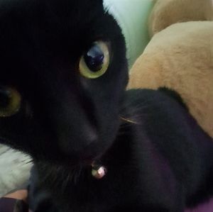 Meet your Posher, Jasmine